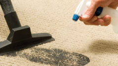 Carpet Stain Removal Burnside Heights