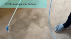 Carpet Stain Removal Endeavour Hills