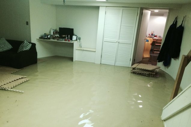 Flood Damage Restoration Footscray