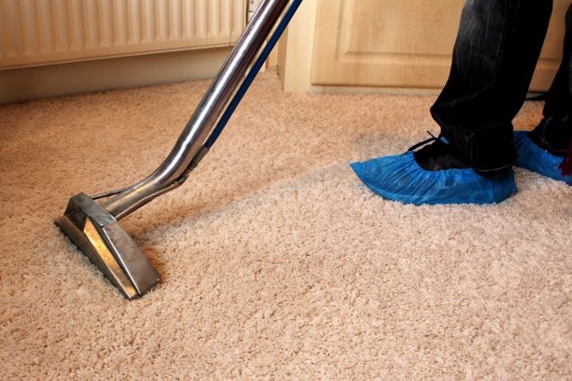 Carpet Steam Cleaning Ferntree Gully