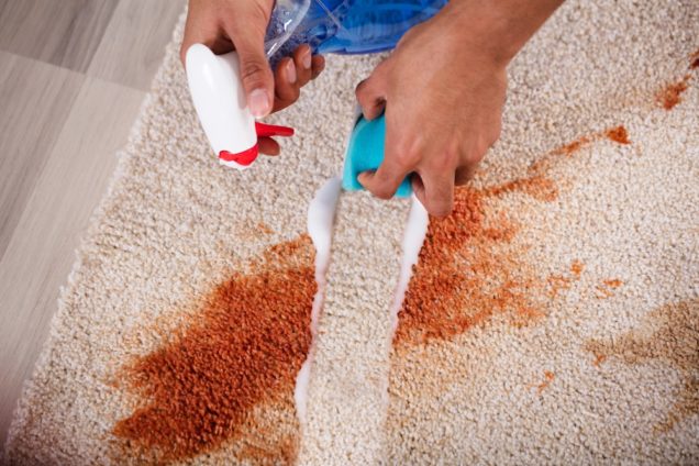 Carpet Stain Removal Brookfield