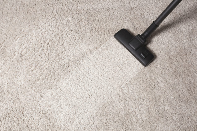 Carpet Stain Removal Glenroy