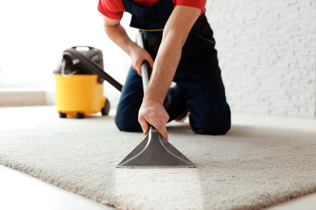 Rug Steam Cleaning Trentham