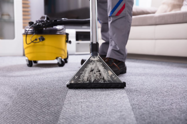 Rug Steam Cleaning Sydenham