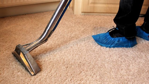 Rug Steam Cleaning Gisborne